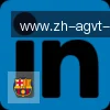 AG真人 logo