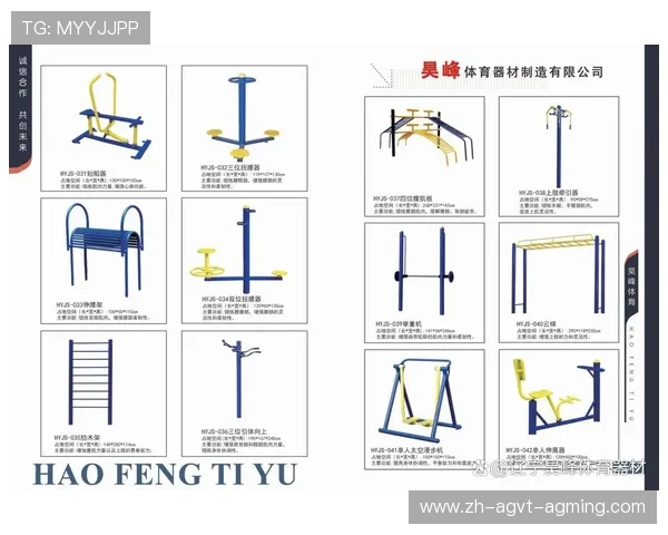 户外健身器材国内市场分析与发展前景