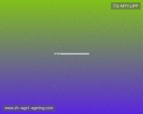 WSBK荷兰站赛程启动张雪机车出征迎战世界顶级摩托车强队